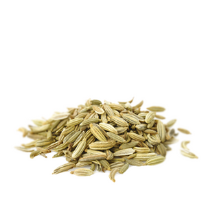 Fennel - Foeniculum vulgare