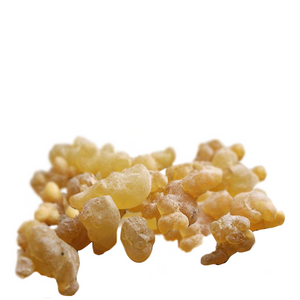 Frankincense - Boswellia sacra