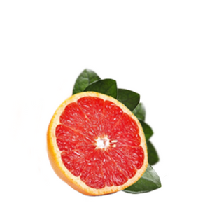 Pink Grapefruit - Citrus x paradisi