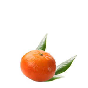 Red Mandarin - Citrus reticulata